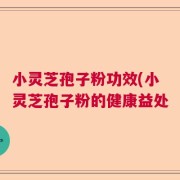 小灵芝孢子粉功效(小灵芝孢子粉的健康益处