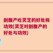 剖腹产吃灵芝的好处和功效(灵芝对剖腹产的好处与功效)