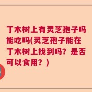 丁木树上有灵芝孢子吗能吃吗(灵芝孢子能在丁木树上找到吗？是否可以食用？)
