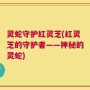 灵蛇守护红灵芝(红灵芝的守护者——神秘的灵蛇)