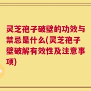 灵芝孢子破壁的功效与禁忌是什么(灵芝孢子壁破解有效性及注意事项)
