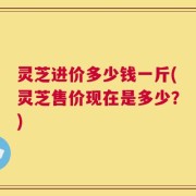 灵芝进价多少钱一斤(灵芝售价现在是多少？)