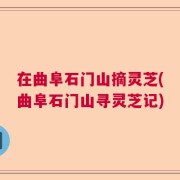 在曲阜石门山摘灵芝(曲阜石门山寻灵芝记)