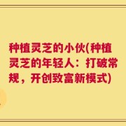 种植灵芝的小伙(种植灵芝的年轻人：打破常规，开创致富新模式)