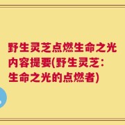 野生灵芝点燃生命之光内容提要(野生灵芝：生命之光的点燃者)