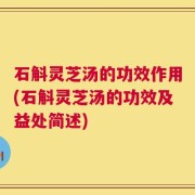 石斛灵芝汤的功效作用(石斛灵芝汤的功效及益处简述)