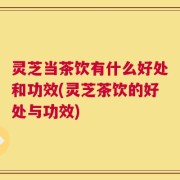 灵芝当茶饮有什么好处和功效(灵芝茶饮的好处与功效)