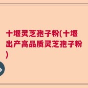 十堰灵芝孢子粉(十堰出产高品质灵芝孢子粉)