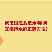 灵芝根怎么泡水喝(灵芝根泡水的正确方法)