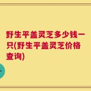 野生平盖灵芝多少钱一只(野生平盖灵芝价格查询)