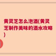 黄灵芝怎么泡酒(黄灵芝制作美味的酒水攻略)