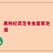 黑枸杞灵芝冬虫夏草泡酒
