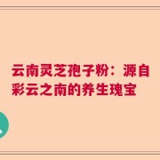 云南灵芝孢子粉：源自彩云之南的养生瑰宝