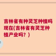吉林省有种灵芝种植吗现在(吉林省有灵芝种植产业吗？)