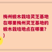 梅州椴木栽培灵芝基地在哪里梅州灵芝基地的椴木栽培地点在哪里？)