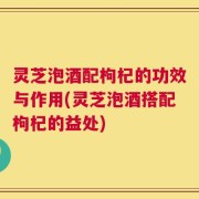 灵芝泡酒配枸杞的功效与作用(灵芝泡酒搭配枸杞的益处)