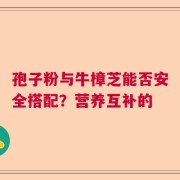 孢子粉与牛樟芝能否安全搭配？营养互补的