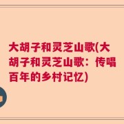 大胡子和灵芝山歌(大胡子和灵芝山歌：传唱百年的乡村记忆)