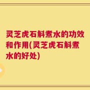 灵芝虎石斛煮水的功效和作用(灵芝虎石斛煮水的好处)