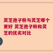灵芝孢子粉与灵芝哪个更好 灵芝孢子粉和灵芝的优劣对比