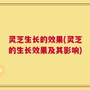 灵芝生长的效果(灵芝的生长效果及其影响)