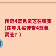 传奇4蓝色灵芝在哪买(在哪儿买传奇4蓝色灵芝？)