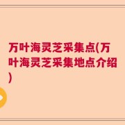 万叶海灵芝采集点(万叶海灵芝采集地点介绍)
