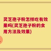 灵芝孢子粉怎样吃有效果吗(灵芝孢子粉的食用方法及效果)