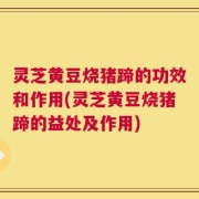 灵芝黄豆烧猪蹄的功效和作用(灵芝黄豆烧猪蹄的益处及作用)