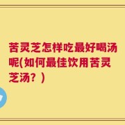 苦灵芝怎样吃最好喝汤呢(如何最佳饮用苦灵芝汤？)