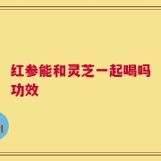 红参能和灵芝一起喝吗功效