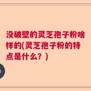 没破壁的灵芝孢子粉啥样的(灵芝孢子粉的特点是什么？)