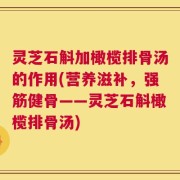 灵芝石斛加橄榄排骨汤的作用(营养滋补，强筋健骨——灵芝石斛橄榄排骨汤)