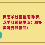 灵芝羊肚菌猪尾汤(灵芝羊肚菌猪尾汤：滋补美味养颜佳品)