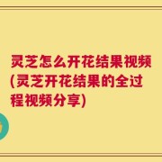 灵芝怎么开花结果视频(灵芝开花结果的全过程视频分享)