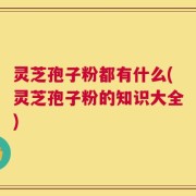 灵芝孢子粉都有什么(灵芝孢子粉的知识大全)