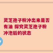 灵芝孢子粉冲出来是否有油 探究灵芝孢子粉冲泡后的状态