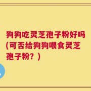 狗狗吃灵芝孢子粉好吗(可否给狗狗喂食灵芝孢子粉？)