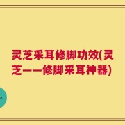 灵芝采耳修脚功效(灵芝——修脚采耳神器)