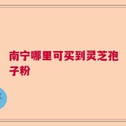 南宁哪里可买到灵芝孢子粉
