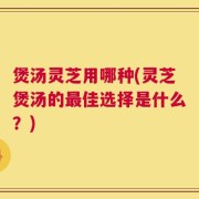 煲汤灵芝用哪种(灵芝煲汤的最佳选择是什么？)