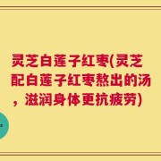灵芝白莲子红枣(灵芝配白莲子红枣熬出的汤，滋润身体更抗疲劳)