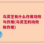 乌灵芝有什么作用功效与作用(乌灵芝的功效和作用)