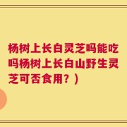 杨树上长白灵芝吗能吃吗杨树上长白山野生灵芝可否食用？)
