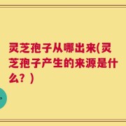 灵芝孢子从哪出来(灵芝孢子产生的来源是什么？)