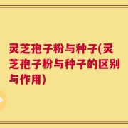灵芝孢子粉与种子(灵芝孢子粉与种子的区别与作用)