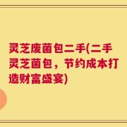 灵芝废菌包二手(二手灵芝菌包，节约成本打造财富盛宴)