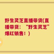 野生灵芝直播带货(直播带货：“野生灵芝”爆红销售！)