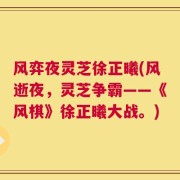 风弈夜灵芝徐正曦(风逝夜，灵芝争霸——《风棋》徐正曦大战。)