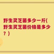 野生灵芝菌多少一斤(野生灵芝菌价格是多少？)